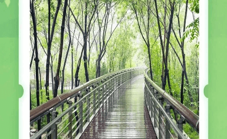 不可辜負(fù)的美，與春天有個(gè)約會(huì)